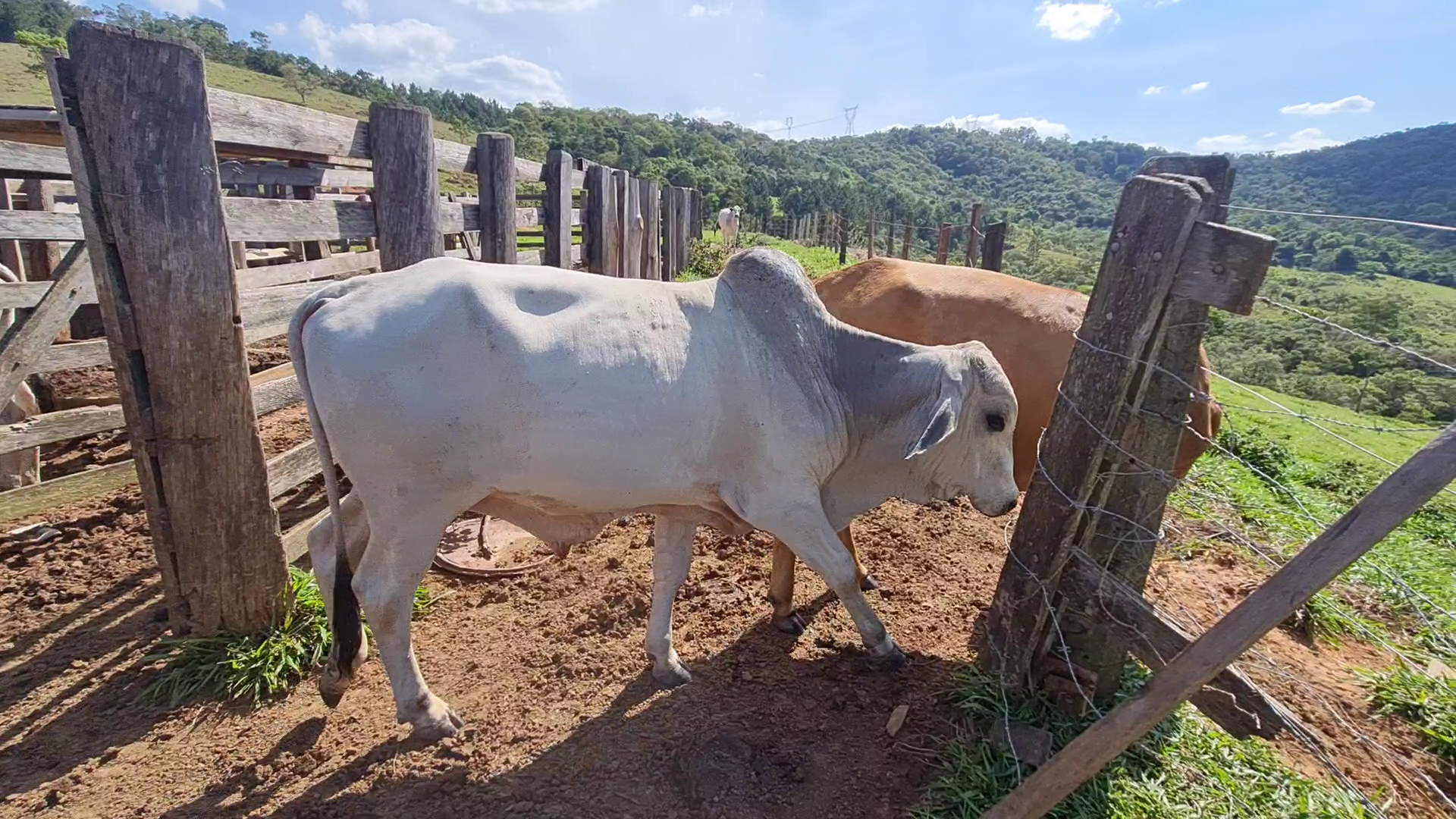 vlcsnap-2025-12-18-22h26m20s204